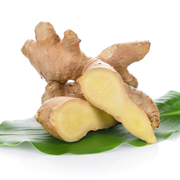Ginger Extract
