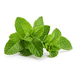 Menthol